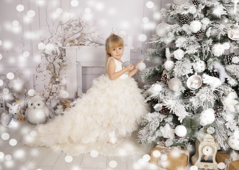 Sedinta foto Craciun